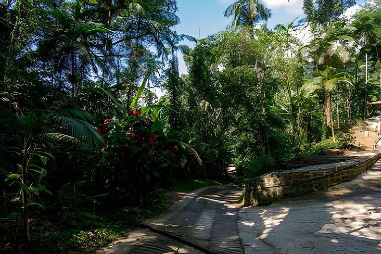 Casa com piscina natural na Aldeia Rizoma
