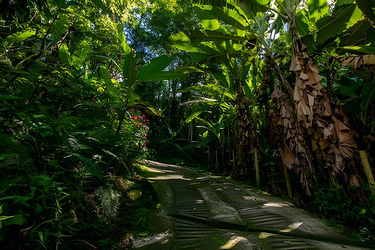 Casa Ague - com piscina natural na Aldeia Rizoma