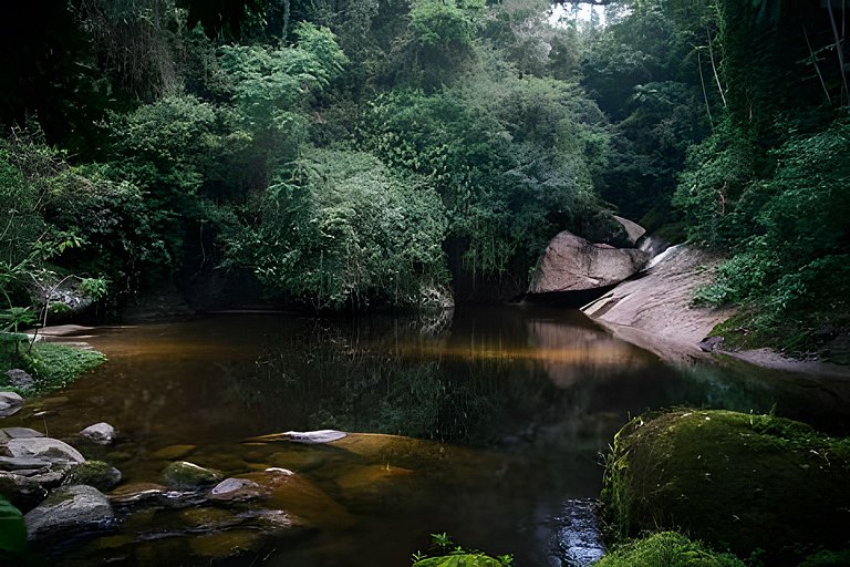 Casa com piscina natural na Aldeia Rizoma
