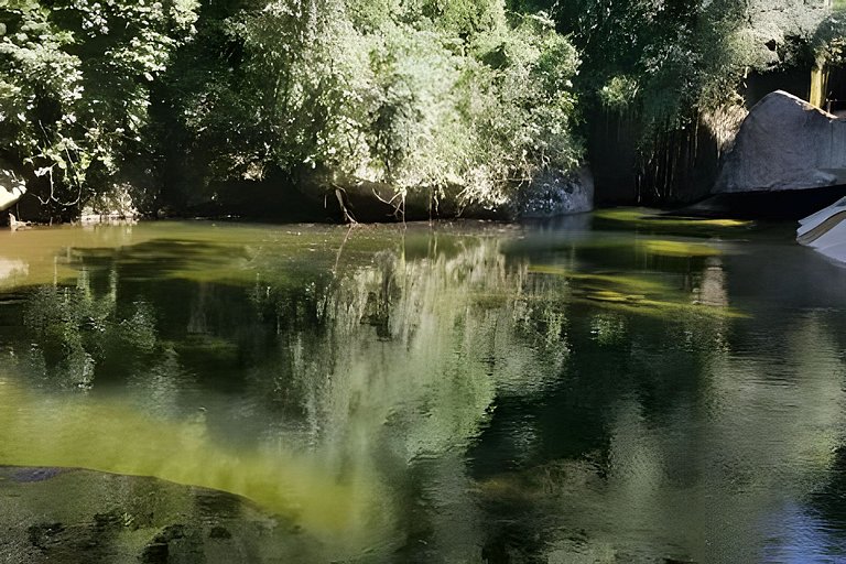 Casa com piscina natural na Aldeia Rizoma