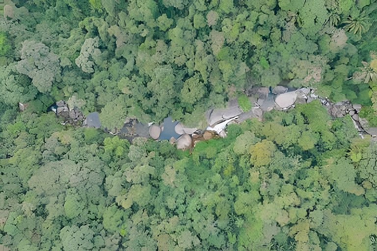 Casa com piscina natural na Aldeia Rizoma