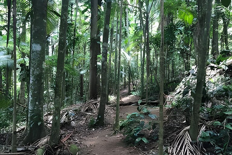 Casa de Design e Cachoeira na Aldeia Rizoma