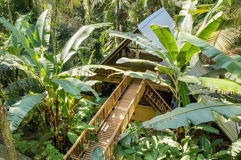 Casa na floresta com cachoeira na Aldeia Rizoma