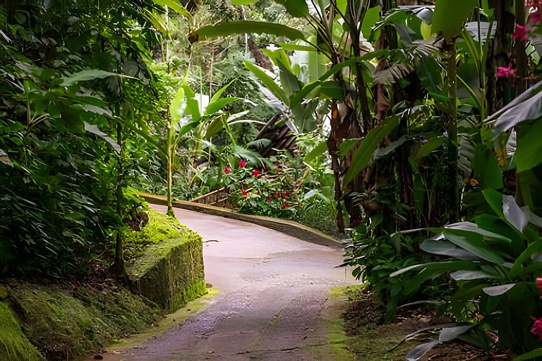 Casa Trikona - Imersa na floresta na Aldeia Rizoma