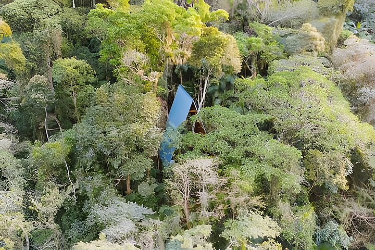 No topo das árvores na Aldeia Rizoma