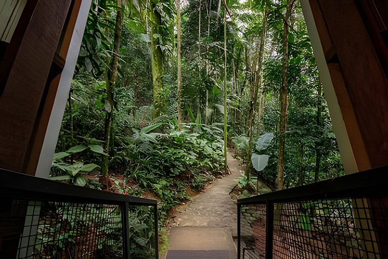 No topo das árvores na Aldeia Rizoma