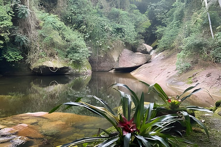 No topo das árvores, próximo à cachoeira