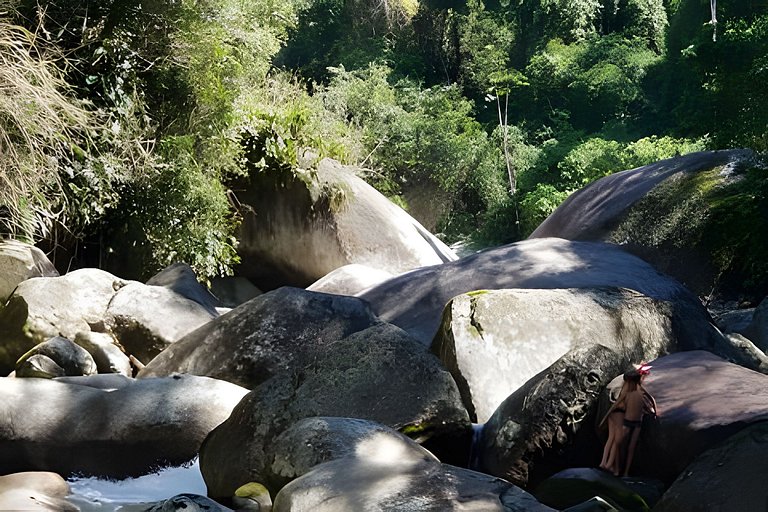 No topo das árvores, próximo à cachoeira