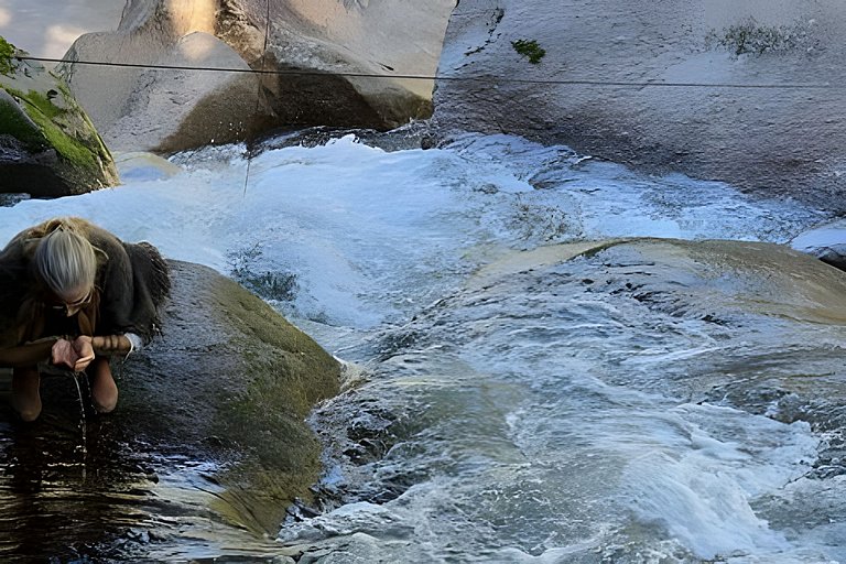 No topo das árvores, próximo à cachoeira