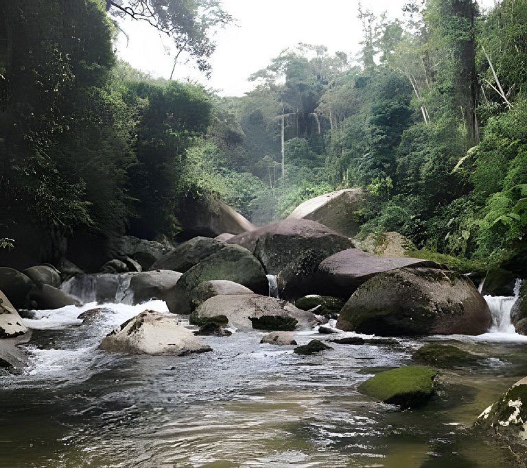No topo das árvores, próximo à cachoeira