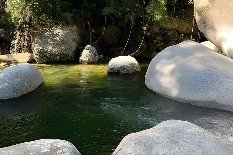 No topo das árvores na Aldeia Rizoma