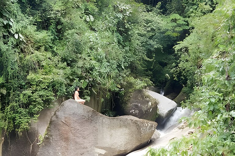 No topo das árvores na Aldeia Rizoma