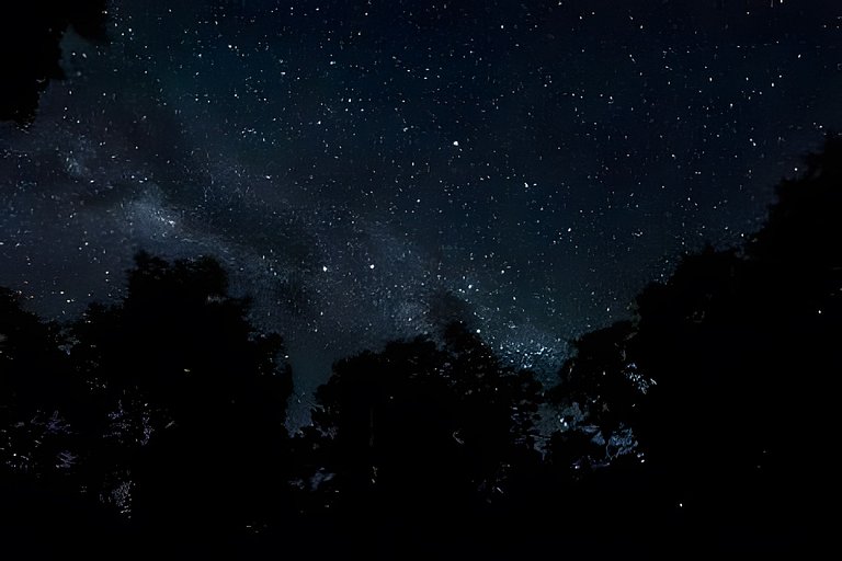 No topo das árvores na Aldeia Rizoma