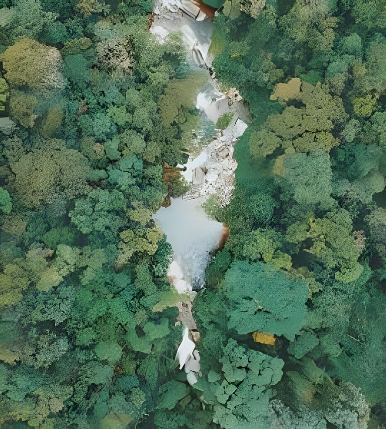 Refugio aconchegante na floresta Aldeia Rizoma