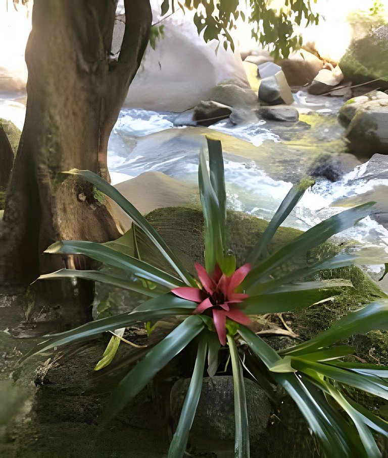 Refugio aconchegante na floresta Aldeia Rizoma