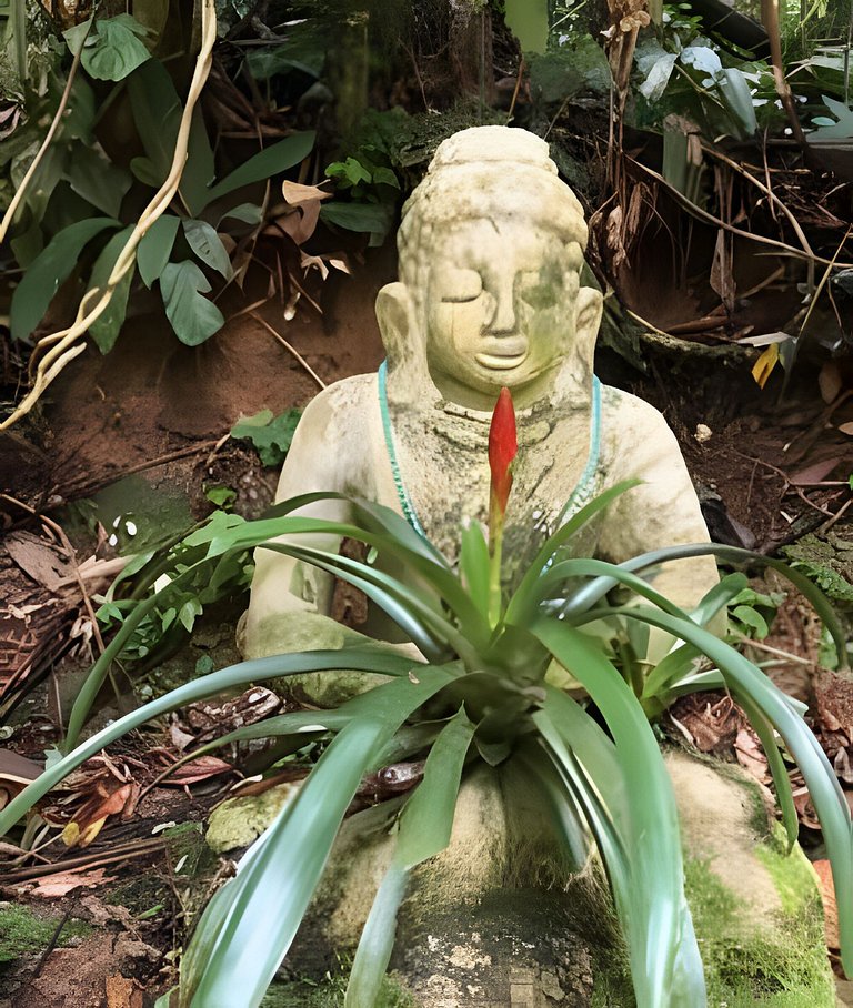 Refúgio aconchegante na Aldeia Rizoma