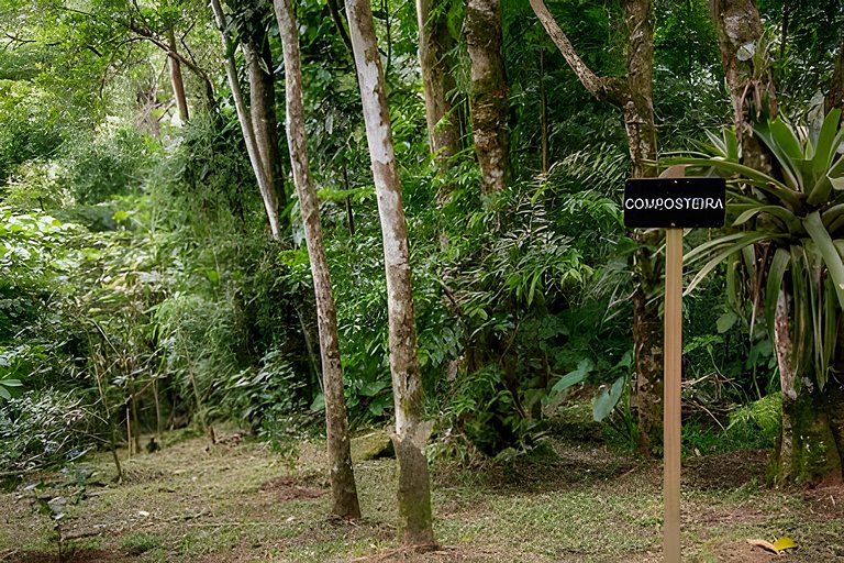 Refugio aconchegante e futurista na floresta