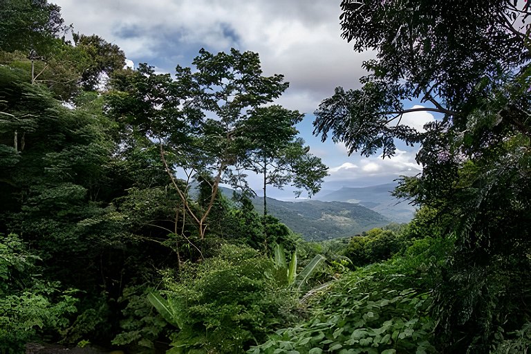 Casa Teia - com vista e conforto na Aldeia Rizoma