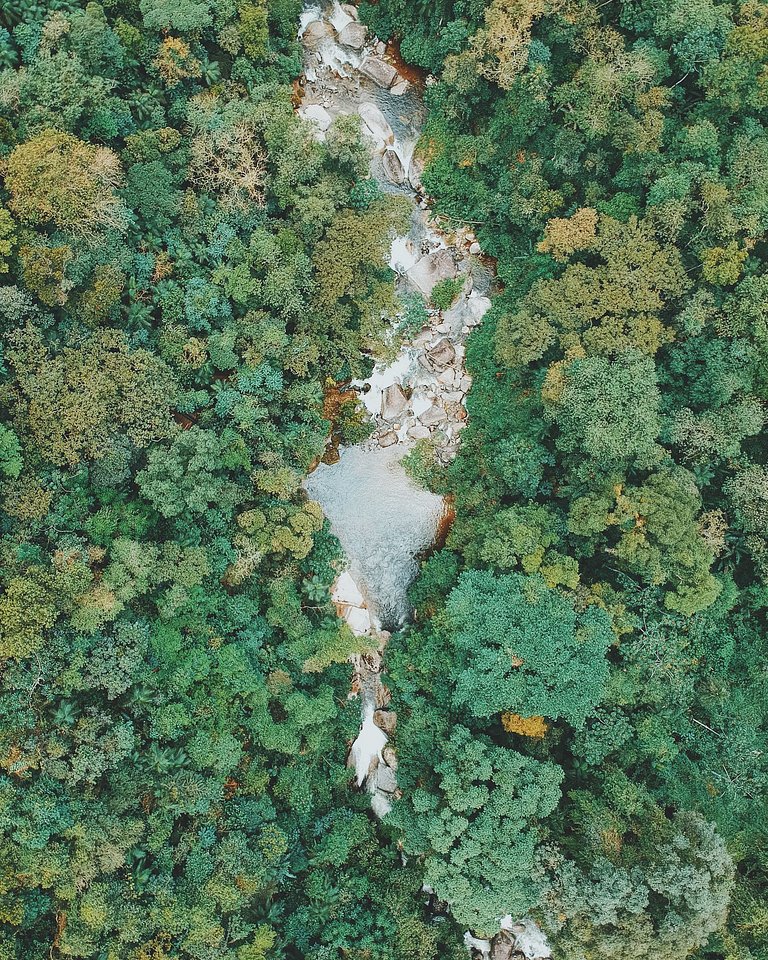 Refúgio aconchegante na Aldeia Rizoma