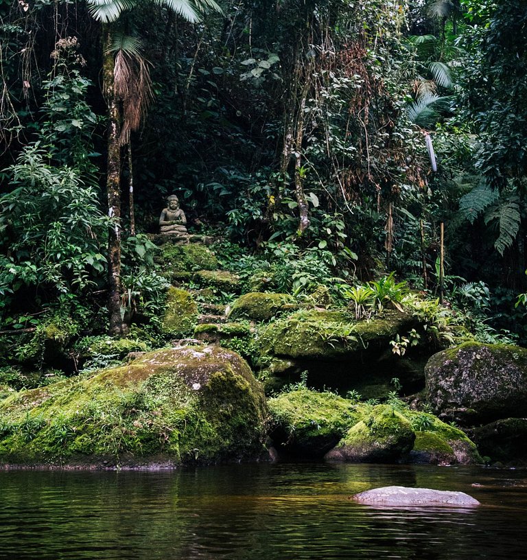 Refúgio aconchegante na Aldeia Rizoma
