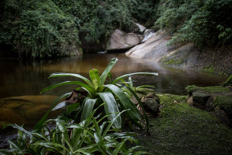 Refúgio aconchegante na Aldeia Rizoma